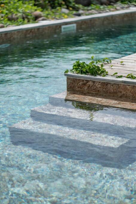 T3 Lumineux Avec Vue Exceptionnelle Et Piscine Oasis De Nature Et Serenite Petit-Canal Zewnętrze zdjęcie